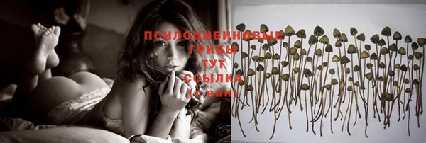 гашиш Осташков