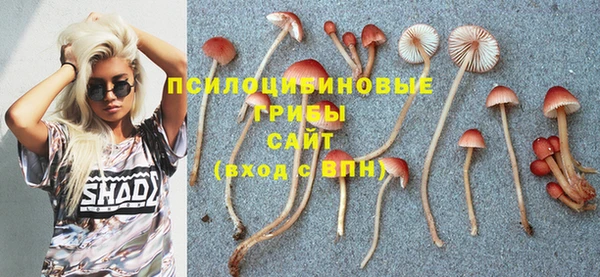 гашиш Осташков